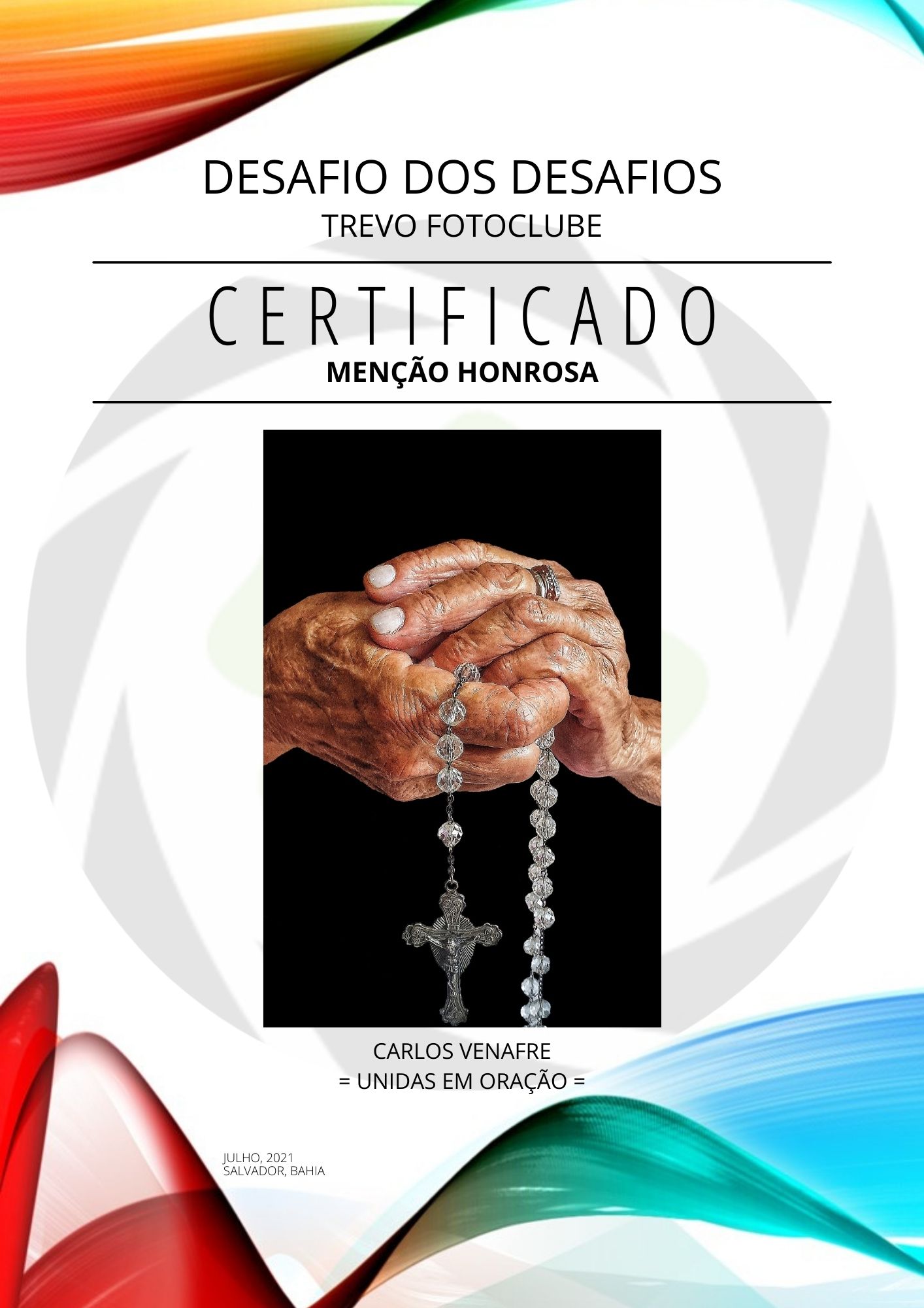 Certificado CARLOS VENAFRE